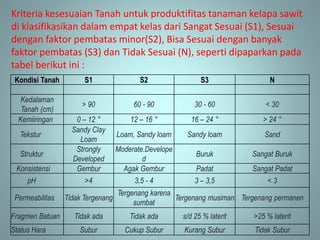 Kriteria kesesuaian Tanah untuk produktifitas tanaman kelapa sawit
di klasifikasikan dalam empat kelas dari Sangat Sesuai (S1), Sesuai
dengan faktor pembatas minor(S2), Bisa Sesuai dengan banyak
faktor pembatas (S3) dan Tidak Sesuai (N), seperti dipaparkan pada
tabel berikut ini :
Kondisi Tanah S1 S2 S3 N
Kedalaman
Tanah (cm)
> 90 60 - 90 30 - 60 < 30
Kemiiringan 0 – 12 ° 12 – 16 ° 16 – 24 ° > 24 °
Tekstur
Sandy Clay
Loam
Loam, Sandy loam Sandy loam Sand
Struktur
Strongly
Developed
Moderate.Develope
d
Buruk Sangat Buruk
Konsistensi Gembur Agak Gembur Padat Sangat Padat
pH >4 3,5 - 4 3 – 3,5 < 3
Permeabilitas Tidak Tergenang
Tergenang karena
sumbat
Tergenang musiman Tergenang permanen
Fragmen Batuan Tidak ada Tidak ada s/d 25 % laterit >25 % laterit
Status Hara Subur Cukup Subur Kurang Subur Tidak Subur
 