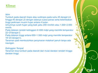 Free Powerpoint Templates
Page 3
Iklim
Tumbuh pada daerah tropis atau subtropis pada suhu 45 derajat LU
hingga 45 derajat LS dengan adanya cuaca panas serta kelembaban
tinggi perkiraan musim hujan antara 4 bulan.
Umumnya curah hujan yang baik yaitu 200 mm/bln atau 1.500~2.000
mm/th.
Pada dataran rendah ketinggian 0~650 mdpl yang memiliki temperatur
22~27derajat C
Pada dataran tinggi antara 650~1.500 mdpl yang memiliki temperatur
19~23 derajat C.
Tanaman padi membutuhkan penyinaran matahari penuh tanpa ada
naungan.
Ketinggian Tempat
Tanaman bisa tumbuh pada daerah dari mulai daratan rendah hingga
daratan tinggi.
Klimat
 