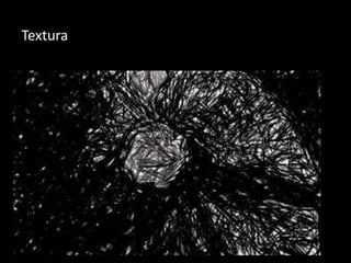 Textura