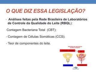 O QUE DIZ ESSA LEGISLAÇÃO?
• Análises feitas pela Rede Brasileira de Laboratórios
de Controle da Qualidade do Leite (RBQL):
Contagem Bacteriana Total (CBT);
Contagem de Células Somáticas (CCS);
Teor de componentes do leite.
 