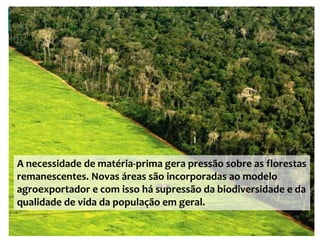 A necessidade de matéria-prima gera pressão sobre as florestas
remanescentes. Novas áreas são incorporadas ao modelo
agroexportador e com isso há supressão da biodiversidade e da
qualidade de vida da população em geral.
 
