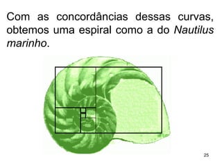 Com as concordâncias dessas curvas, obtemos uma espiral como a do  Nautilus marinho .  