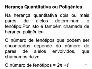 Herança Quantitativa ou Poligênica Na herança quantitativa dois ou mais pares de alelos determinam o fenótipo.Por isto é também chamada de herança poligênica. O número de fenótipos que podem ser encontrados depende do número de pares de alelos envolvidos, que chamamos de  n : O número de fenótipos =  2n +1 