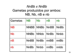 NnBb x NnBb   Gametas produzidos por ambos:  NB, Nb, nB e nb Gametas NB Nb nB nb NB NNBB NNBb NnBB NnBb Nb NNBb NNbb NnBb Nnbb nB NnBB NnBb nnBB nnBb nb NnBb Nnbb nnBb nnbb 
