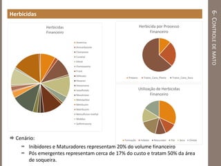 6-CONTROLEDEMATO
Herbicidas
 Cenário:
 Inibidores e Maturadores representam 20% do volume financeiro
 Pós emergentes representam cerca de 17% do custo e tratam 50% da área
de soqueira.
Herbicidas
Financeiro
Ametrina
Amicarbazone
Clomazone
Curavial
Ethrel
Flumioxazina
Front
Glifosato
Hexaron
Hexazinona
Isoxaflutole
Mesotroine
Metolachlor
Metrbuzim
Metribuzim
Metsulfuron-methyl
Moddus
Sulfentrazona
Herbicida por Processo
Financeiro
Preparo Tratos_Cana_Planta Tratos_Cana_Soca
Utilização de Herbicidas
Financeiro
Formação Inibidor Maturador Pós Seca Úmida
 