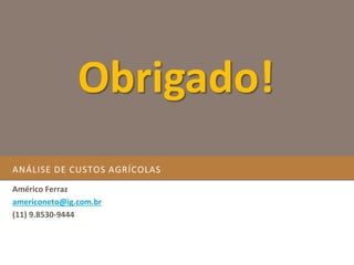 ANÁLISE DE CUSTOS AGRÍCOLAS
Américo Ferraz
americoneto@ig.com.br
(11) 9.8530-9444
Obrigado!
 
