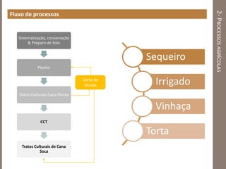 2-PROCESSOSAGRÍCOLAS
Fluxo de processos
Sistematização, conservação
& Preparo de Solo
Plantio
Tratos Culturais Cana Planta
CCT
Tratos Culturais de Cana
Soca
Corte de
Mudas
Sequeiro
Irrigado
Vinhaça
Torta
 