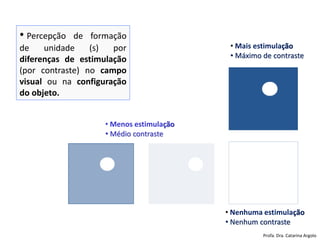 • Percepção de formação
de unidade (s) por
diferenças de estimulação
(por contraste) no campo
visual ou na configuração
do objeto.
• Mais estimulação
• Máximo de contraste
• Menos estimulação
• Médio contraste
• Nenhuma estimulação
• Nenhum contraste
Profa. Dra. Catarina Argolo
 