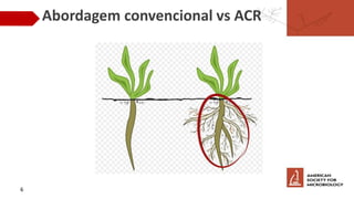 Abordagem convencional vs ACR
6
 