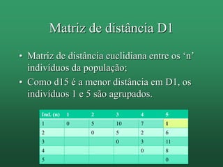 • Matriz de distância euclidiana entre os ‘n’
indivíduos da população;
• Como d15 é a menor distância em D1, os
indivíduos 1 e 5 são agrupados.
Matriz de distância D1
Ind. (n) 1 2 3 4 5
1 0 5 10 7 1
2 0 5 2 6
3 0 3 11
4 0 8
5 0
 