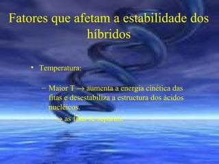 Fatores que afetam a estabilidade dos
híbridos
• Temperatura:
– Maior T → aumenta a energia cinética das
fitas e desestabiliza a estructura dos ácidos
nucléicos.
→ as fitas se separan.

 
