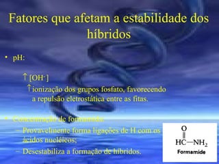 Fatores que afetam a estabilidade dos
híbridos
• pH:
↑ [OH- ]
↑ ionização dos grupos fosfato, favorecendo
a repulsão eletrostática entre as fitas.
• Concentração de formamida:
– Provavelmente forma ligações de H com os
ácidos nucléicos;
– Desestabiliza a formação de híbridos.

 