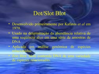 Dot/Slot Blot
• Desenvolvido primeiramente por Kafatos et al em
1979.
• Usado na determinação da abundância relativa de
uma seqüência alvo em uma série de amostras de
DNA
• Aplicada em análise genômica de espécies
relacionadas
• Zoo Blot: blots contendo DNA de uma variedade
de espécies relacionadas.

 