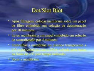 Dot/Slot Blot
• Após filtragem, colocar membrana sobre um papel
de filtro embebido em solução de desnaturação
por 10 minutos.
• Levar membrana a um papel embebido em solução
de neutralização por 5 minutos.
• Embrulhar a membrana no plástico transperente a
UV e posicioná-la com o DNA voltado para baixo
na fonte de UV pelo tempo indicado.
• Secar a membrana.

 