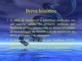 Breve histórico
• A idéia de imobilizar e hibridizar moléculas em
um suporte sólido foi primeiro proposta por
Denhardt (1966), conduzindo ao desenvolvimento
de metodologias de identificação de seqüências no
DNA genômico e de clonagem.
• O passo seguinte foi dado por Southern (1975),
quando demonstrou como poderia ser feita a
transferência de DNA do gel para membranas;

 