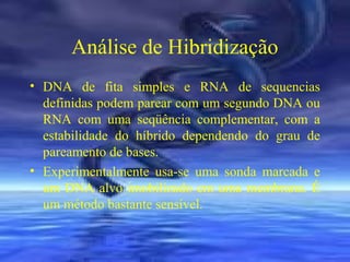 Análise de Hibridização
• DNA de fita simples e RNA de sequencias
definidas podem parear com um segundo DNA ou
RNA com uma seqüência complementar, com a
estabilidade do híbrido dependendo do grau de
pareamento de bases.
• Experimentalmente usa-se uma sonda marcada e
um DNA alvo imobilizado em uma membrana. É
um método bastante sensível.

 