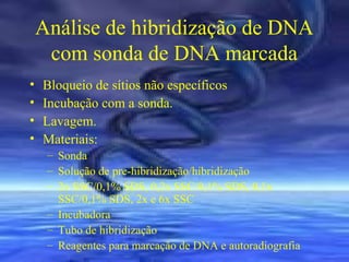 Análise de hibridização de DNA
com sonda de DNA marcada
•
•
•
•

Bloqueio de sítios não específicos
Incubação com a sonda.
Lavagem.
Materiais:
– Sonda
– Solução de pre-hibridização/hibridização
– 2x SSC/0,1% SDS, 0,2x SSC/0,1% SDS, 0,1x
SSC/0,1% SDS, 2x e 6x SSC
– Incubadora
– Tubo de hibridização
– Reagentes para marcação de DNA e autoradiografia

 