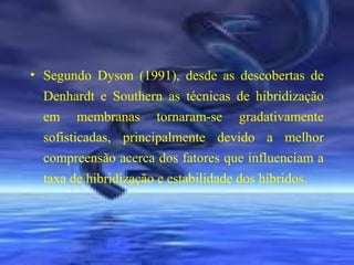 • Segundo Dyson (1991), desde as descobertas de
Denhardt e Southern as técnicas de hibridização
em membranas tornaram-se gradativamente
sofisticadas, principalmente devido a melhor
compreensão acerca dos fatores que influenciam a
taxa de hibridização e estabilidade dos híbridos.

 