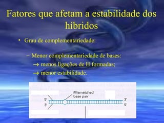 Fatores que afetam a estabilidade dos
híbridos
• Grau de complementariedade:
– Menor complementariedade de bases:
→ menos ligações de H formadas;
→ menor estabilidade.

 
