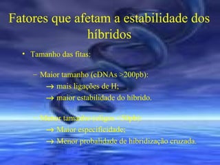 Fatores que afetam a estabilidade dos
híbridos
• Tamanho das fitas:
– Maior tamanho (cDNAs >200pb):
→ mais ligações de H;
→ maior estabilidade do híbrido.
– Menor tamanho (oligos <50pb):
→ Maior especificidade;
→ Menor probalidade de hibridização cruzada.

 