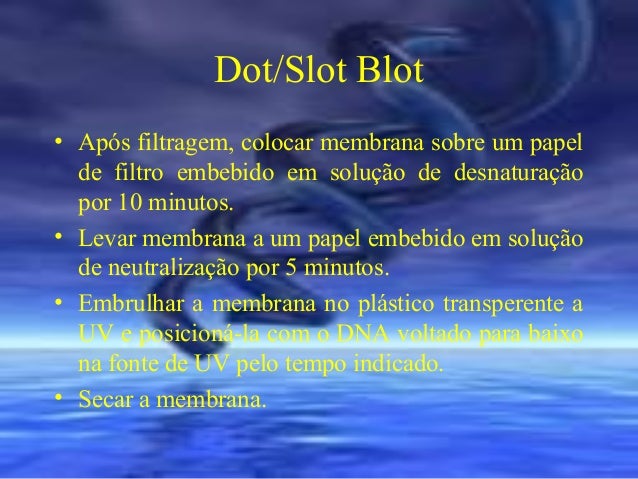 Dot ou slot blot