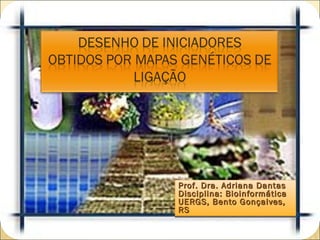 Prof. Dra. Adriana Dantas
Disciplina: Bioinformática
UERGS, Bento Gonçalves,
RS
 