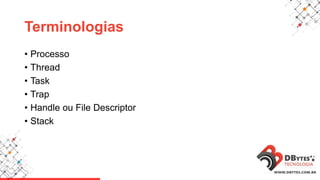 Terminologias
• Processo
• Thread
• Task
• Trap
• Handle ou File Descriptor
• Stack
 