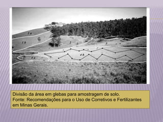 Divisão da área em glebas para amostragem de solo.
Fonte: Recomendações para o Uso de Corretivos e Fertilizantes
em Minas Gerais.
 