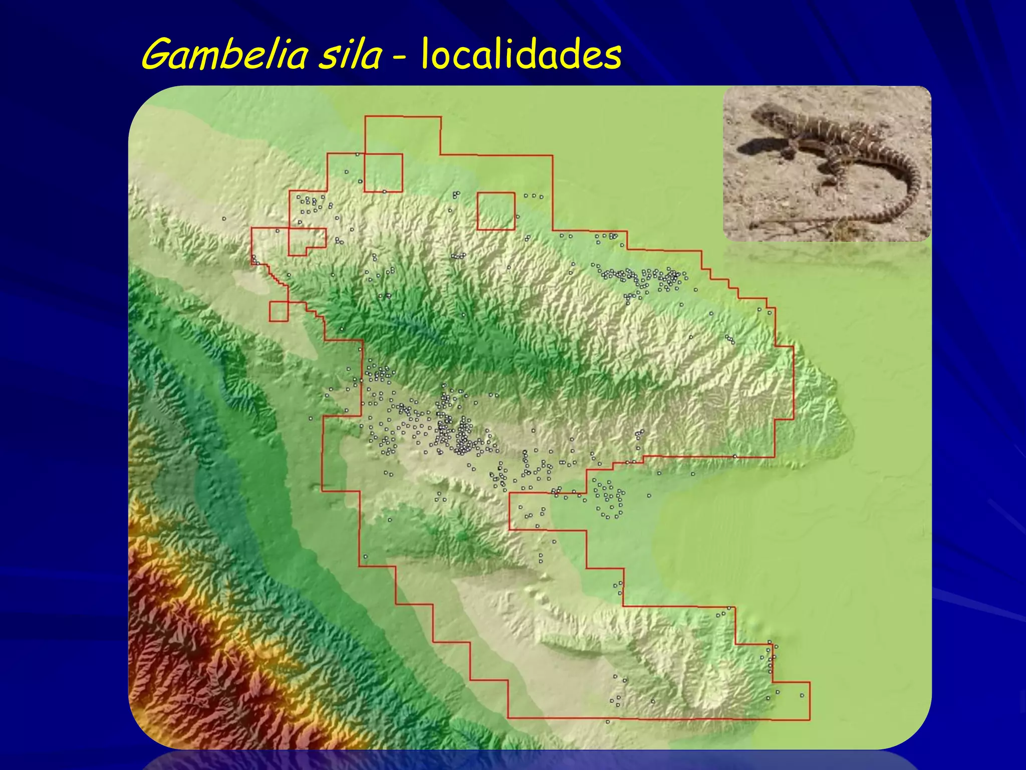 Gambelia sila - localidades
 