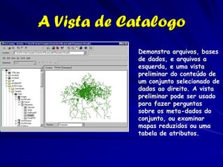 A Vista de Catalogo
            Demonstra arquivos, bases
            de dados, e arquivos a
            esquerda, e uma vista
            preliminar do conteúdo de
            um conjunto selecionado de
            dados ao direito. A vista
            preliminar pode ser usado
            para fazer perguntas
            sobre os meta-dados do
            conjunto, ou examinar
            mapas reduzidos ou uma
            tabela de atributos.
 