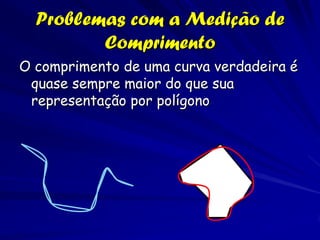Problemas com a Medição de
         Comprimento
O comprimento de uma curva verdadeira é
 quase sempre maior do que sua
 representação por polígono
 