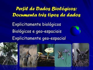 Perfil de Dados Biológicos:
Documenta três tipos de dados
Explicitamente biológicos
Biológicos e geo-espaciais
Explicitamente geo-espacial
 