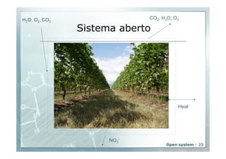 H CO2, H2O, O2 2O, O2, CO2 
Sistema aberto 
Heat 
Open system | 25 
NO3 
- 
 