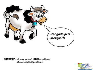Obrigado pela
atenção!!!
CONTATOS: adriana_moura1994@hotmail.com
elaineminighin@gmail.com
 
