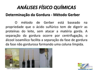 ANÁLISES FÍSICO QUÍMICAS
Determinação da Gordura - Método Gerber
O método de Gerber está baseado na
propriedade que o ácido sulfúrico tem de digerir as
proteínas do leite, sem atacar a matéria gorda. A
separação da gordura ocorre por centrifugação, o
álcool isoamílico facilita a separação da fase de gordura
da fase não gordurosa formando uma coluna límpida.
FONTE: buzzero.com
 