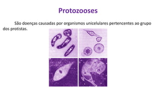 Protozooses
São doenças causadas por organismos unicelulares pertencentes ao grupo
dos protistas.
 