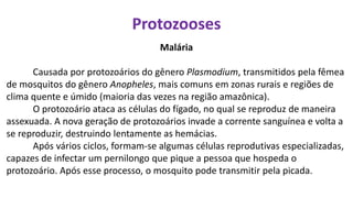 Protozooses
Malária
Causada por protozoários do gênero Plasmodium, transmitidos pela fêmea
de mosquitos do gênero Anopheles, mais comuns em zonas rurais e regiões de
clima quente e úmido (maioria das vezes na região amazônica).
O protozoário ataca as células do fígado, no qual se reproduz de maneira
assexuada. A nova geração de protozoários invade a corrente sanguínea e volta a
se reproduzir, destruindo lentamente as hemácias.
Após vários ciclos, formam-se algumas células reprodutivas especializadas,
capazes de infectar um pernilongo que pique a pessoa que hospeda o
protozoário. Após esse processo, o mosquito pode transmitir pela picada.
 