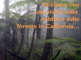 Iniziamo con
una storia sulla
nebbia e sulle
foreste in California…
2
 