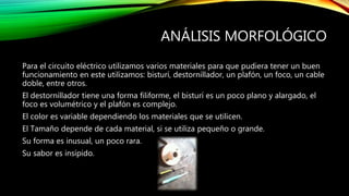 ANÁLISIS MORFOLÓGICO
Para el circuito eléctrico utilizamos varios materiales para que pudiera tener un buen
funcionamiento en este utilizamos: bisturí, destornillador, un plafón, un foco, un cable
doble, entre otros.
El destornillador tiene una forma filiforme, el bisturí es un poco plano y alargado, el
foco es volumétrico y el plafón es complejo.
El color es variable dependiendo los materiales que se utilicen.
El Tamaño depende de cada material, si se utiliza pequeño o grande.
Su forma es inusual, un poco rara.
Su sabor es insípido.
 
