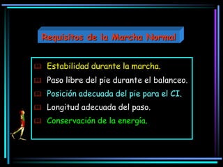  Estabilidad durante la marcha.
 Paso libre del pie durante el balanceo.
 Posición adecuada del pie para el CI.
 Longitud adecuada del paso.
 Conservación de la energía.
Requisitos de la Marcha Normal
 