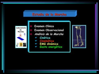  Examen Clínico
 Examen Observacional
 Análisis de la Marcha
 Cinética
 Cinemática
 EMG dinámica
 Gasto energético
Estudio de la Marcha
 