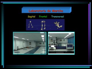 FrontalSagital Transversal
Laboratorio de Marcha
 