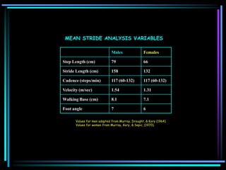 MEAN STRIDE ANALYSIS VARIABLES
Males Females
Step Length (cm) 79 66
Stride Length (cm) 158 132
Cadence (steps/min) 117 (60-132) 117 (60-132)
Velocity (m/sec) 1.54 1.31
Walking Base (cm) 8.1 7.1
Foot angle 7 6
Values for men adapted from Murray, Drought, & Kory (1964).
Values for women from Murray, Kory, & Sepic, (1970).
 