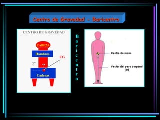 B
a
r
i
c
e
n
t
r
o
CENTRO DE GRAVEDAD
D
CGC
3”
CABEZA
Caderas
Hombros
Centro de Gravedad - Baricentro
 