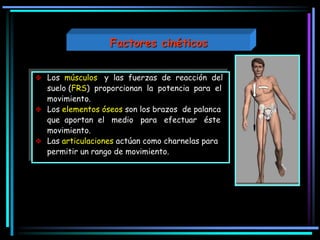 Los músculos y las fuerzas de reacción del
suelo (FRS) proporcionan la potencia para el
movimiento.
 Los elementos óseos son los brazos de palanca
que aportan el medio para efectuar éste
movimiento.
 Las articulaciones actúan como charnelas para
permitir un rango de movimiento.
Factores cinéticos
 