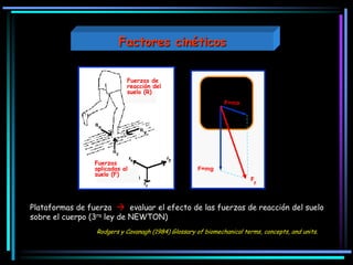 Fuerzas de
reacción del
suelo (R)
Fuerzas
aplicadas al
suelo (F)
F=ma
F=mg
F
r
Plataformas de fuerza  evaluar el efecto de las fuerzas de reacción del suelo
sobre el cuerpo (3ra ley de NEWTON)
Rodgers y Cavanagh (1984) Glossary of biomechanical terms, concepts, and units.
Factores cinéticos
 