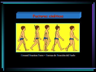 Factores cinéticos
Ground Reaction Force = Fuerzas de Reacción del Suelo
 