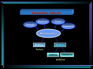 Biomecánica
Biología
Ingeniería
FísicaMedicina
Estática
Postura
Dinámica
Cinética Cinemática
MARCHA
Biomecánica Aplicada
 