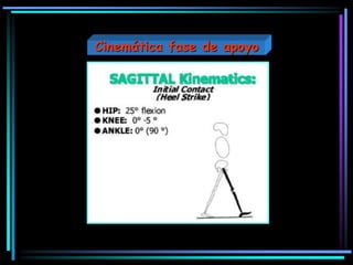 Cinemática fase de apoyo
 