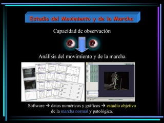 Capacidad de observación
Análisis del movimiento y de la marcha
Software  datos numéricos y gráficos  estudio objetivo
de la marcha normal y patológica.
Estudio del Movimiento y de la Marcha
 